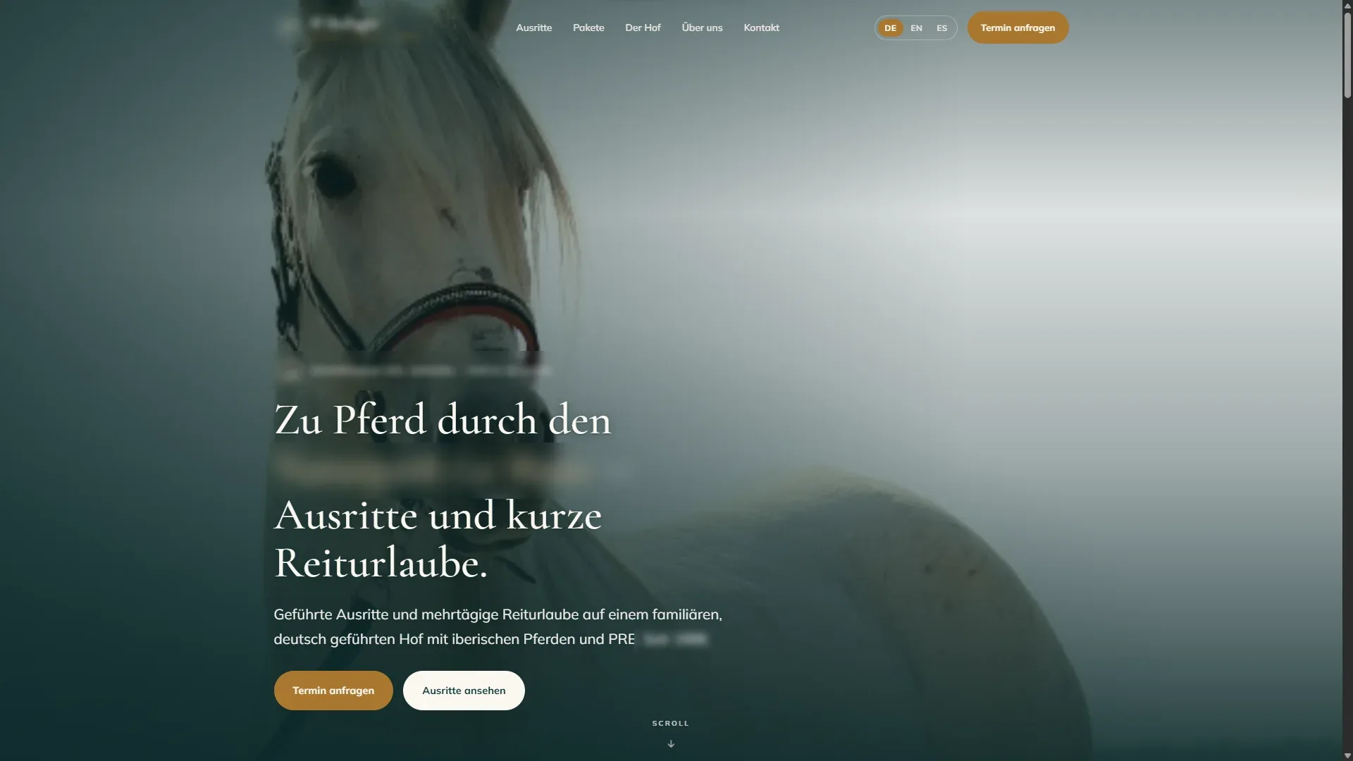 Website proposal for a riding centre
